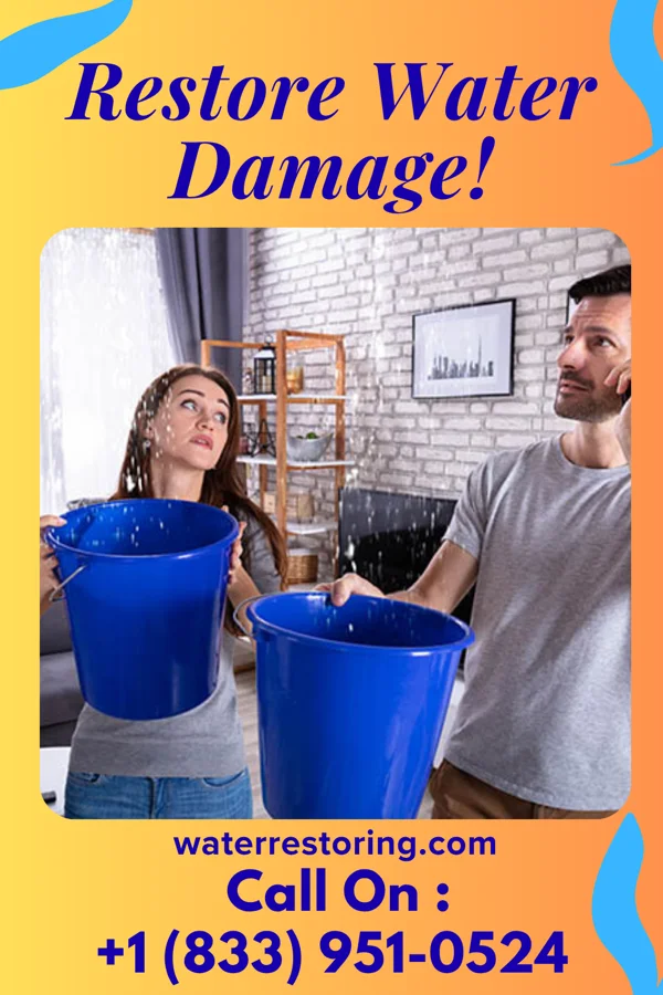water restoration Trusted Damage Restoration & Associates Fox Chase